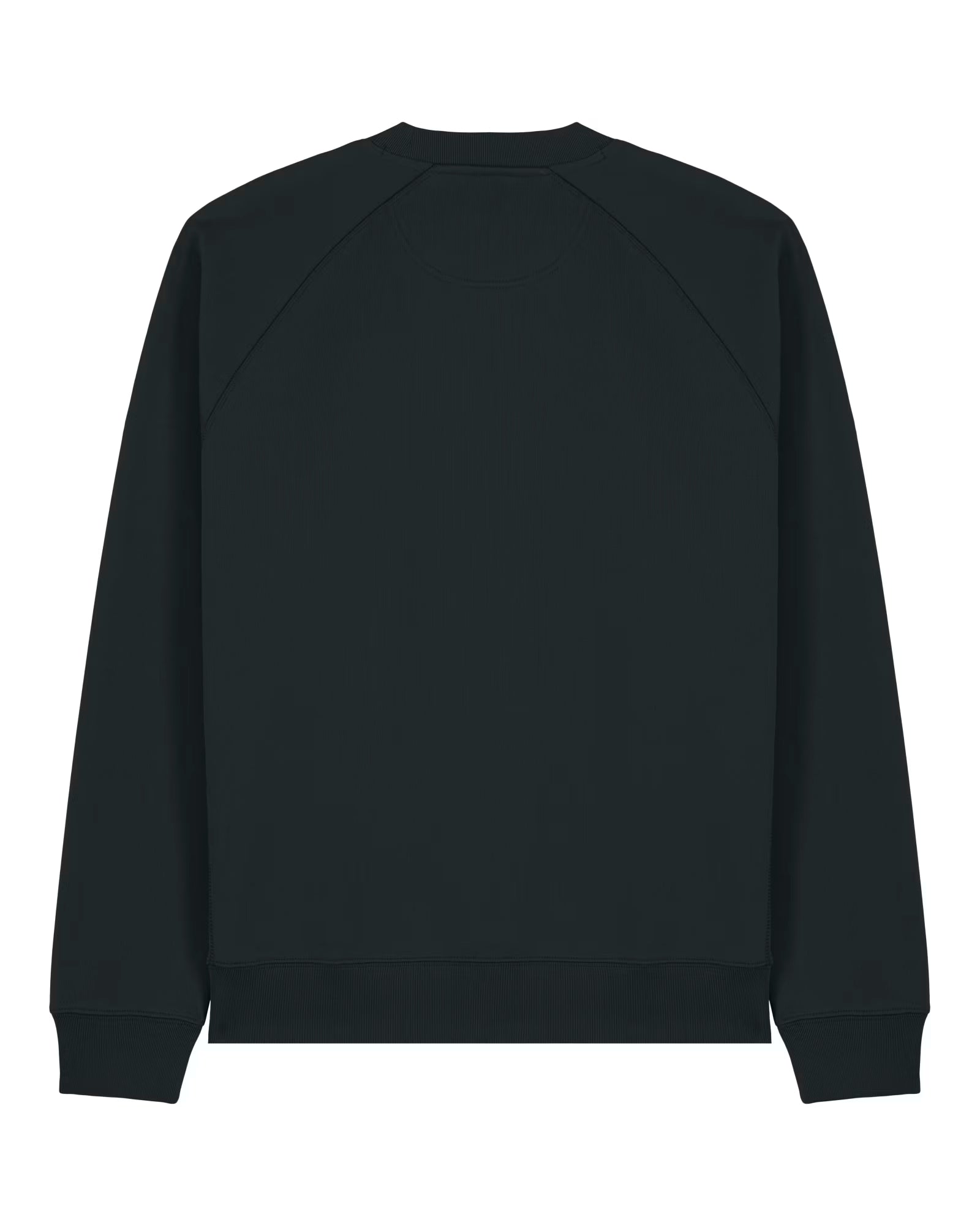 Back view of a black unisex cotton sweatshirt isolated on white background