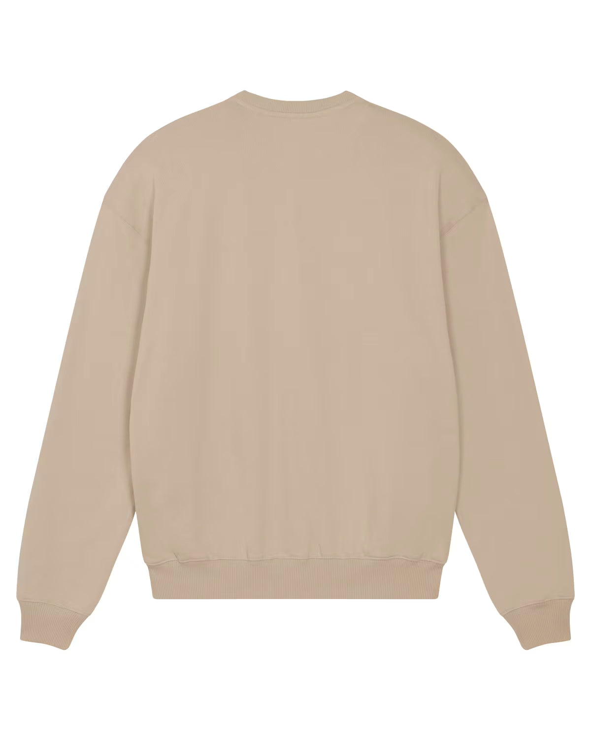 back view of a male model wearing an Brown light cotton hoodie in studio