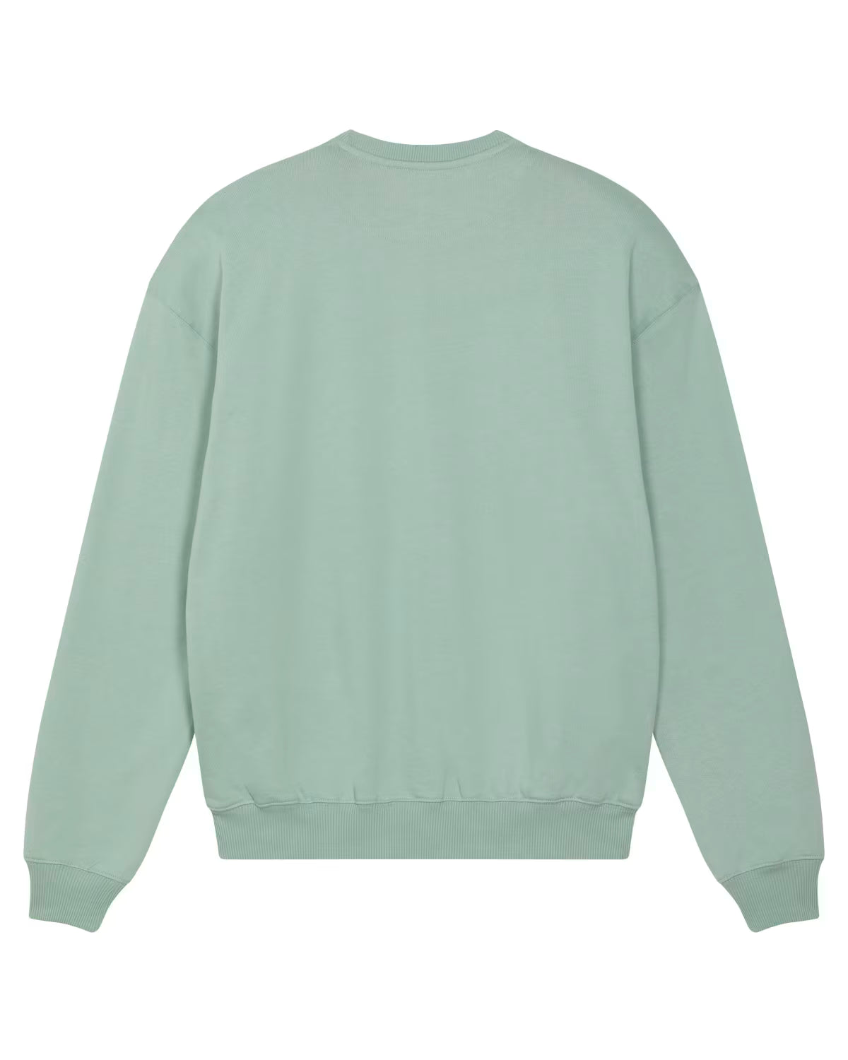 back view of a mint green unisex cotton hoodie isolated on white background