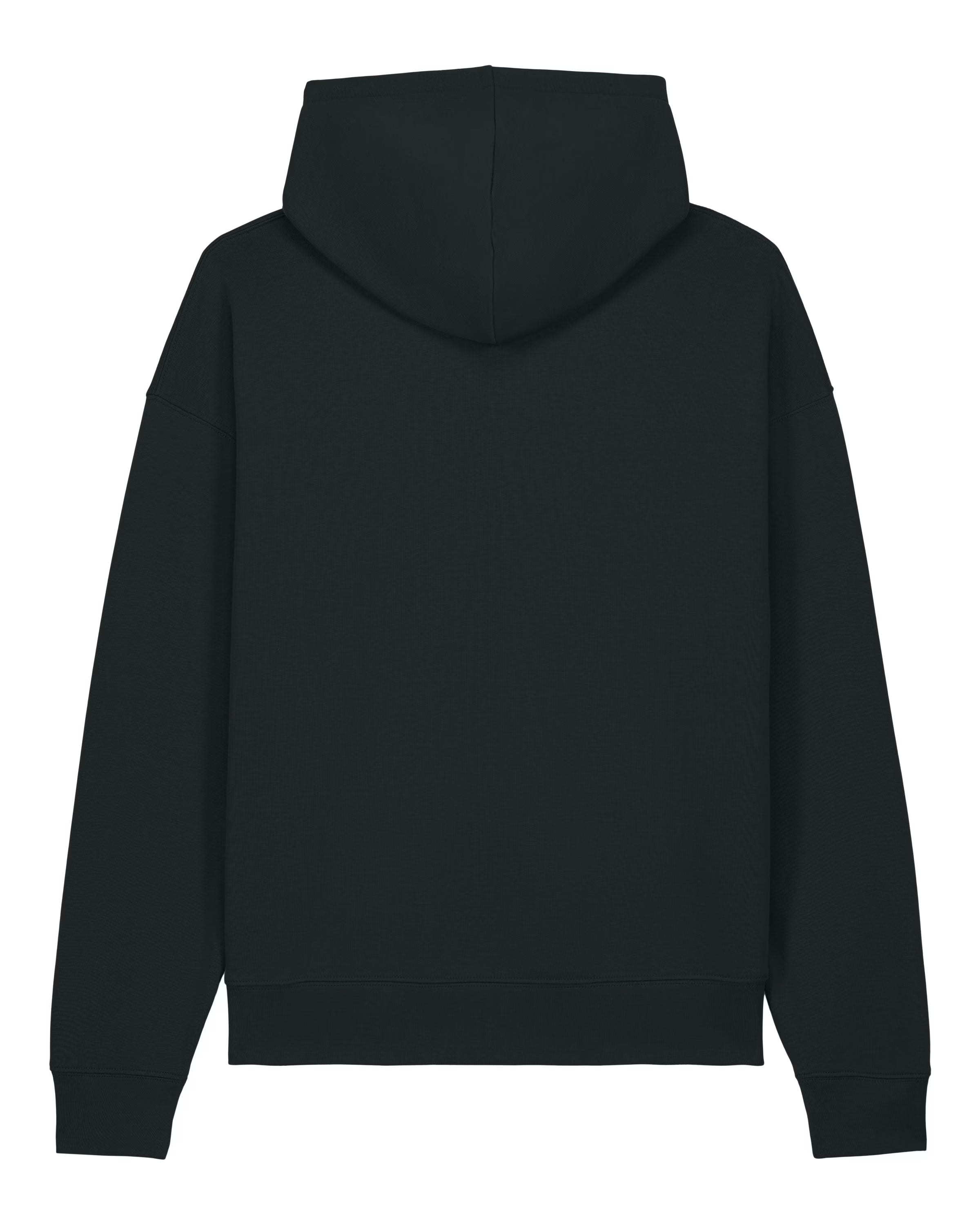 Black unisex cotton hoodie shown from the back on a white background