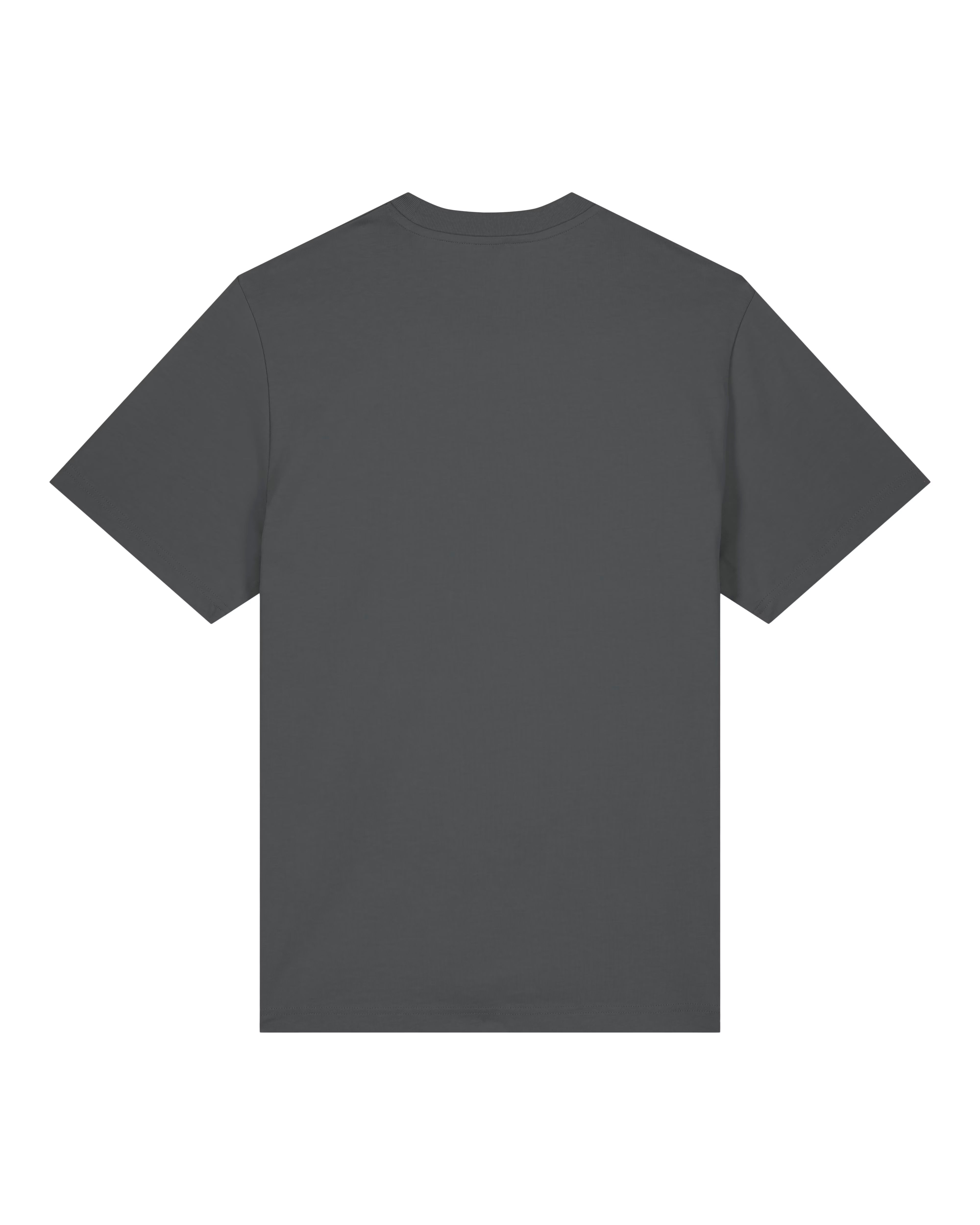 Plain dark gray t-shirt back view a white background