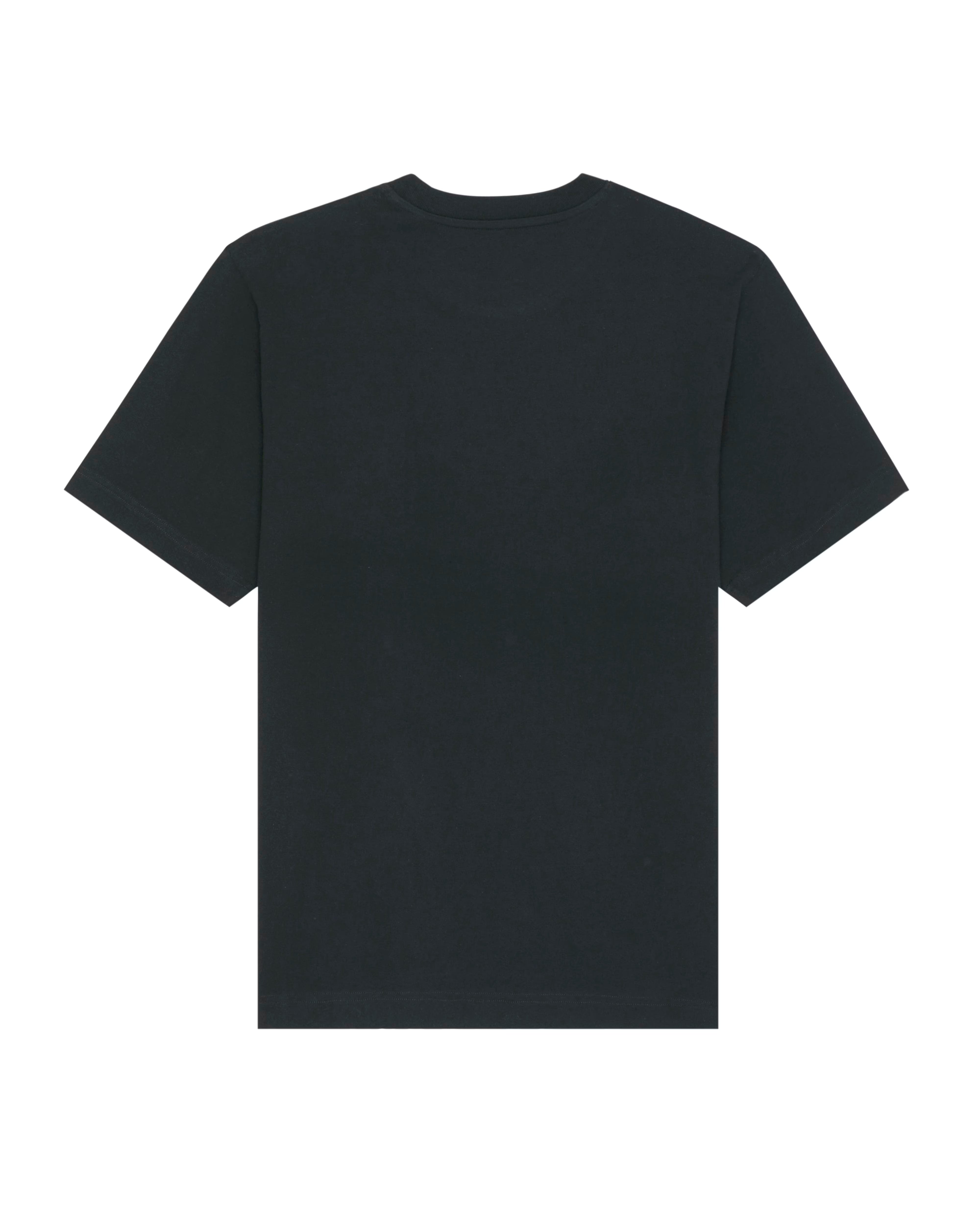black unisex cotton t-shirt flat back view