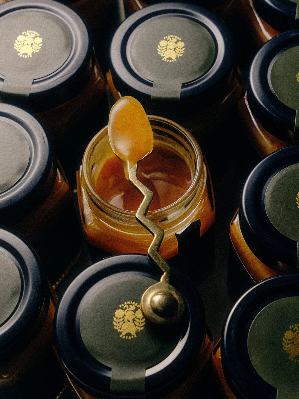 Jar of honey with a spoonful of honey and multiple jars with black lids in the background.