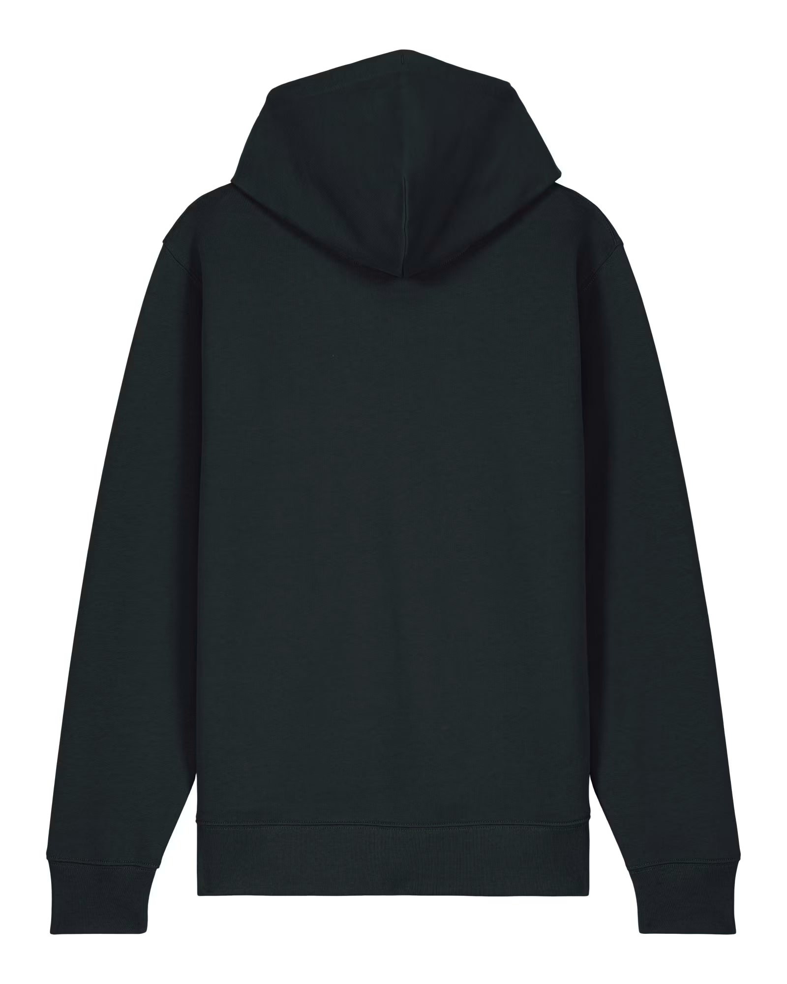 Black unisex cotton hoodie shown from the back on a white background