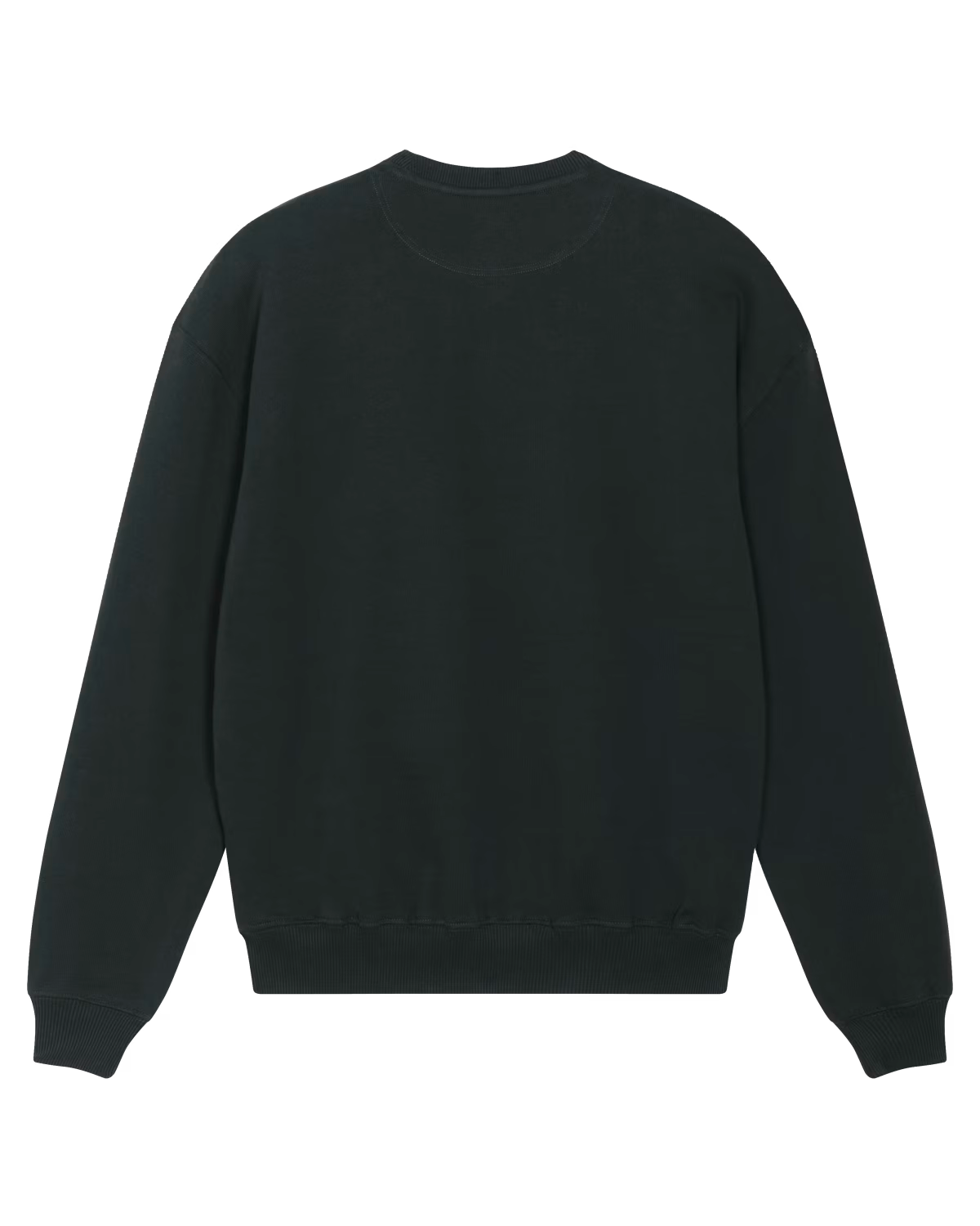 Back view of a black unisex cotton hoodie isolated on white background