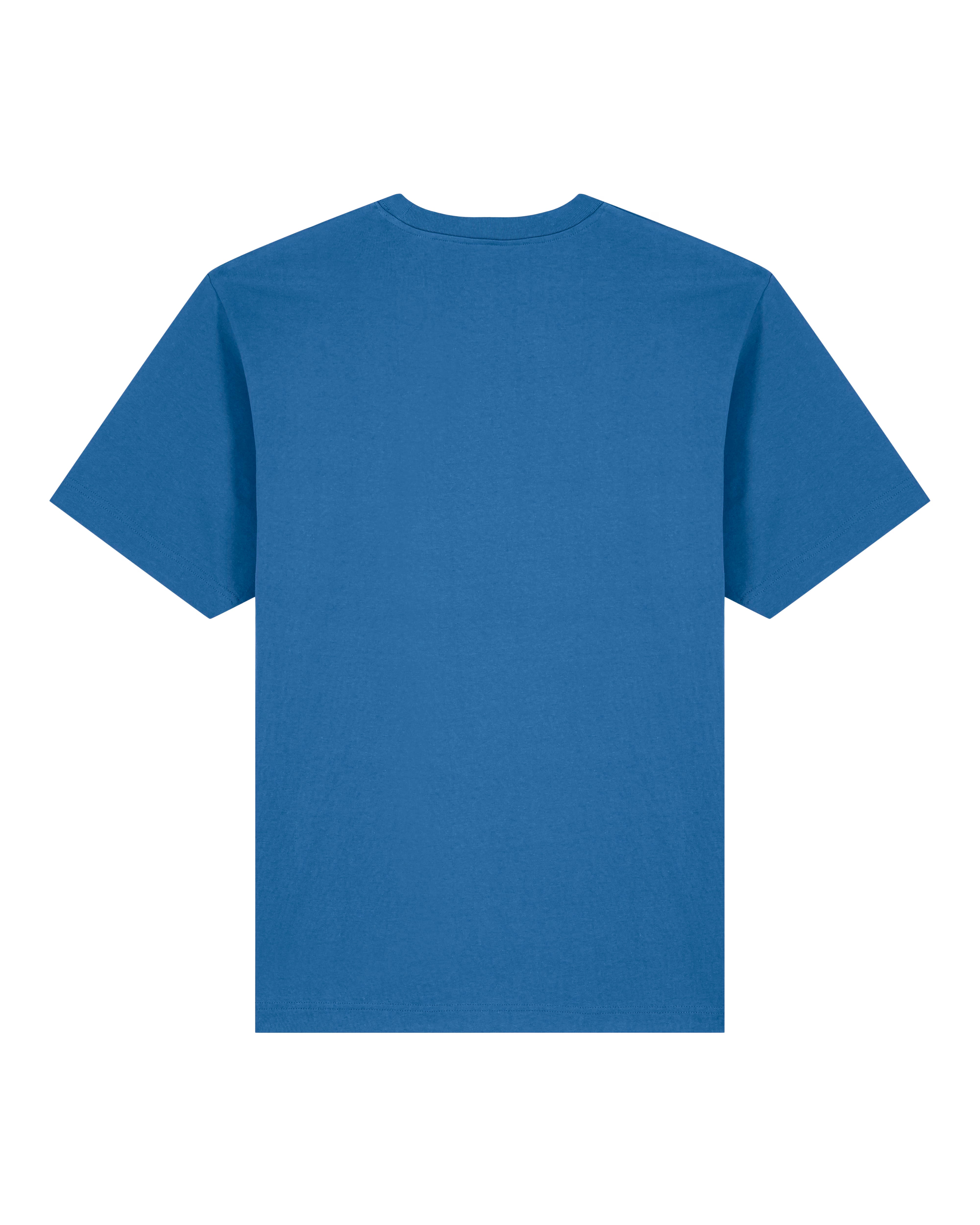 bright blue unisex cotton t-shirt back view