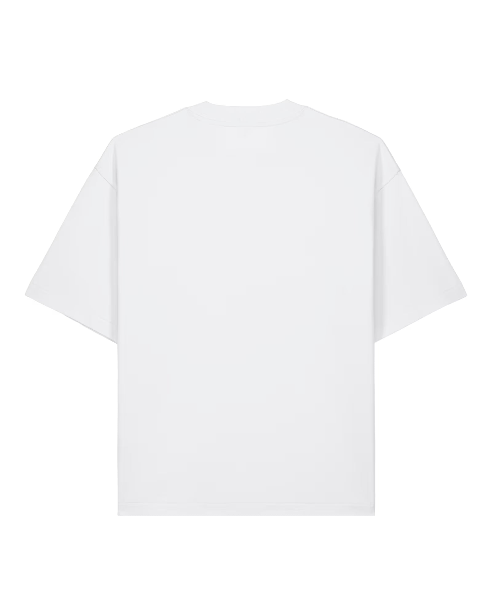 Back view of a white unisex cotton t-shirt isolated on white background