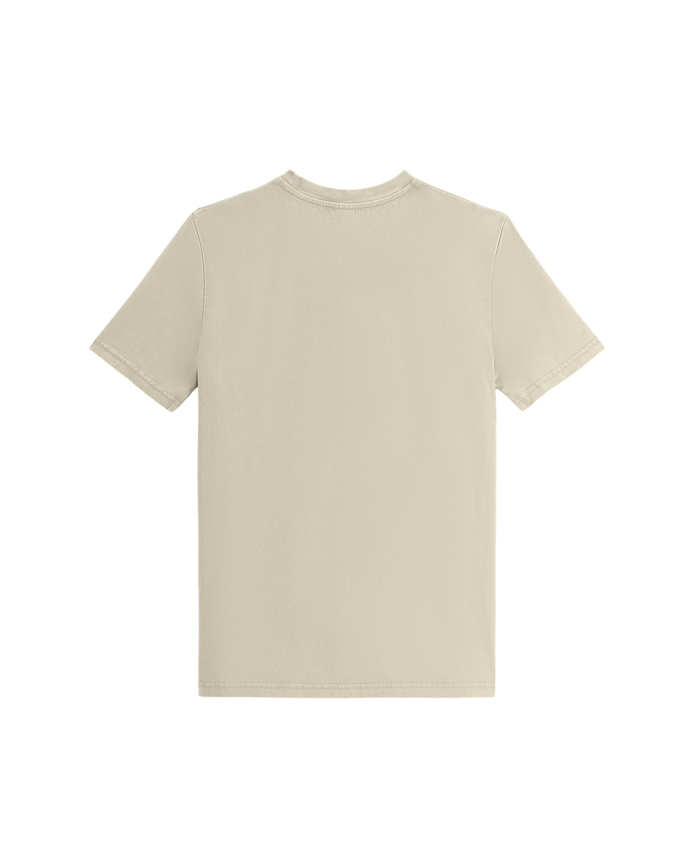 light sage green unisex cotton t-shirt flat back view
